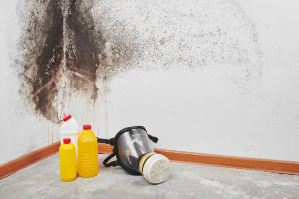 Best Certified Mold Removal  in Fulton, MD