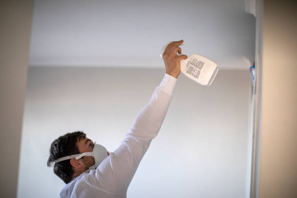 Best Mold Cleaning Services  in Fulton, MD