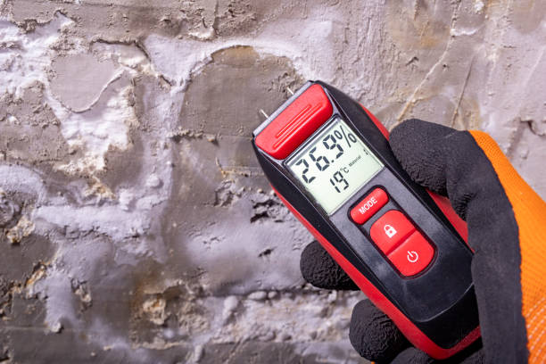 Best Mold Testing  in Fulton, MD