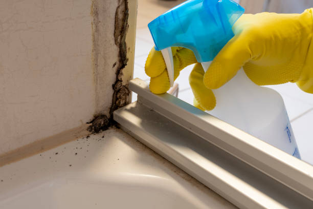 Best Commercial Mold Removal  in Fulton, MD