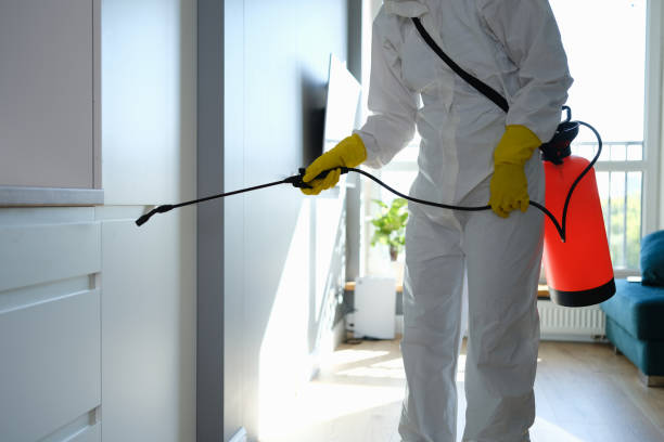 Best Toxic Mold Removal  in Fulton, MD
