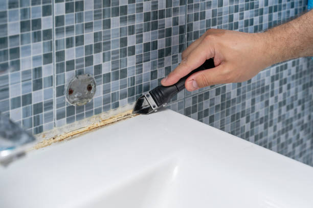 Best Mold Remediation  in Fulton, MD